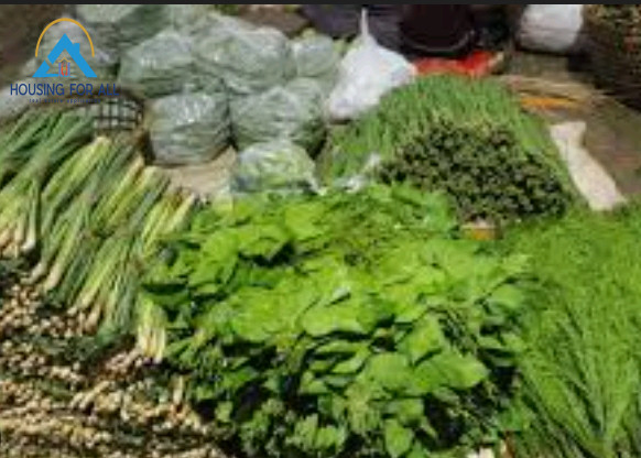 Market Photo